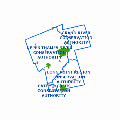 Export Image